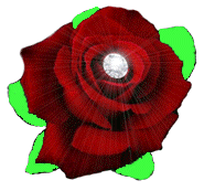 Diamond Rose Sharpening